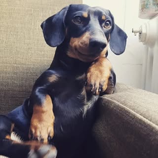 Profile locked
