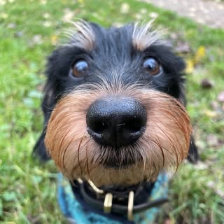 Profile locked