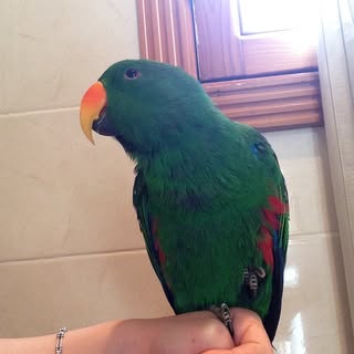 Profile locked