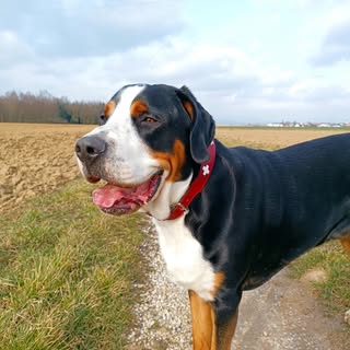 Profile locked