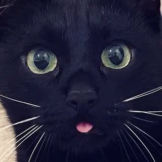 Profile locked
